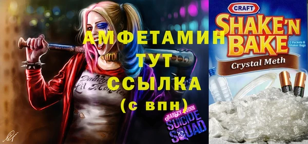 ГАЛЛЮЦИНОГЕННЫЕ ГРИБЫ Алексин