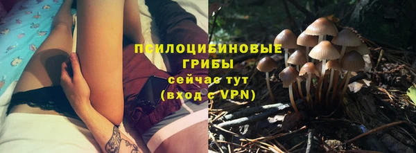 СК Алзамай